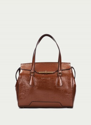 Hispanitas Tote Tassen Dames Bruin | XTY718XZ